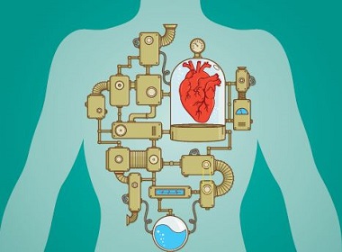 The Right Device - Therapeutic devices enhance heart function