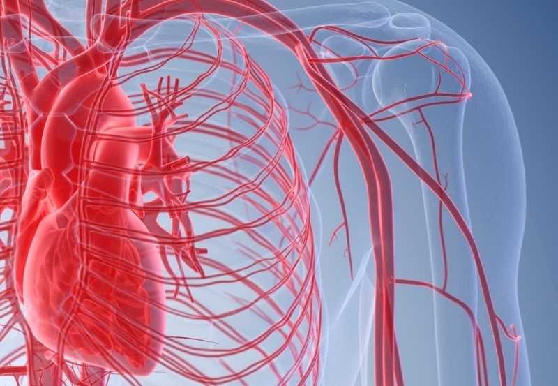 Prioritizing Vascular Health and Care for the Heart