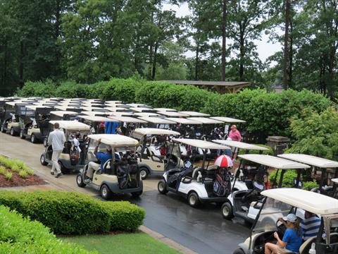 Golf Cart Brigade 2018