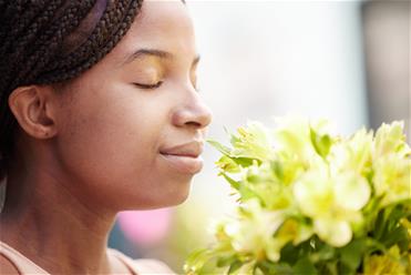 Unveiling 5 Secrets of Spring Allergies: Facts and Combat Strategies